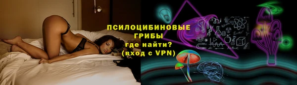 сатива Переславль-Залесский