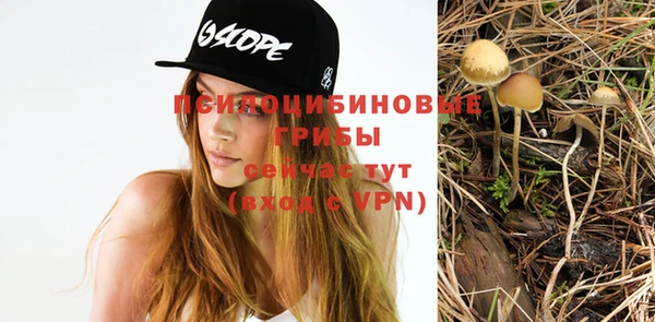 мяу мяу кристалл Горняк