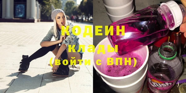 ПСИЛОЦИБИНОВЫЕ ГРИБЫ Дмитриев
