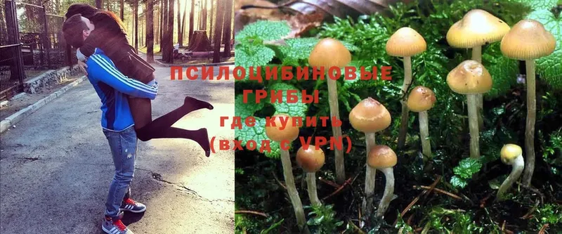 Галлюциногенные грибы MAGIC MUSHROOMS  Крым 